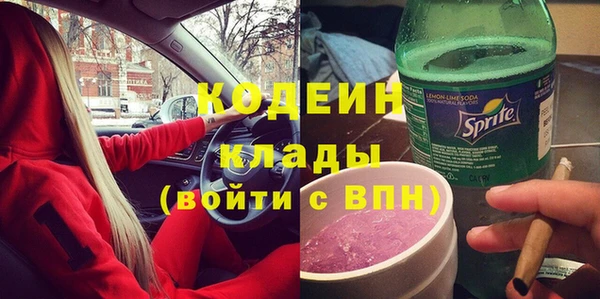 прущие грибы Видное