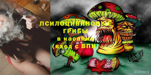 MESCALINE Тавда