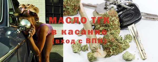 тгк Пересвет