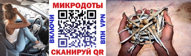 Галлюциногенные грибы ЛСД  Чердынь 